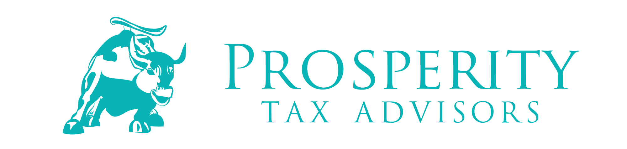 turquoise_logo_horizontal-1